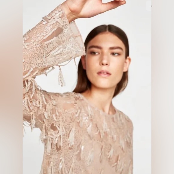 ZARA BLUSH SEQUIN FRINGE DRESS - Picture 1 of 8